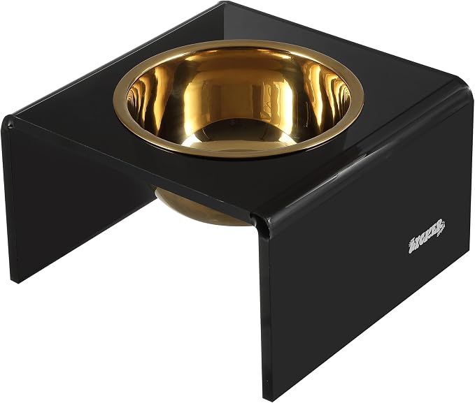 DBL2002B Keaton 5" Small/Medium Modern Acrylic Rectangular Elevated Pet Feeder with 20oz 1-Stainless Steel Bowl, Black/Gold
