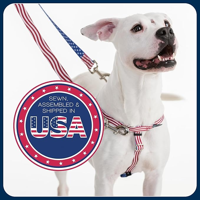 2 Hounds Design Freedom No Pull Dog Harness, 5/8 inch MD, Raspberry | Discourages Pulling, Comfortable Control Adjustable Dog Harness for Medium Sized Dogs, Made in USA (Leash Not Included)