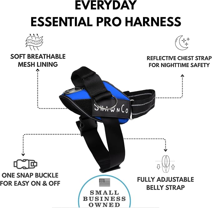 ShawnCo Essential Pro Dog Harness, No-Pull Pet Vest with 3 Leash Clips and Removable, Reflective Side Patches, Adjustable and Padded Harness for Small, Medium and Large Dogs (Electric Blue, XL)