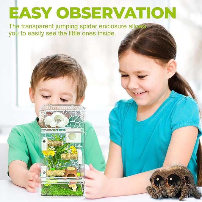Jumping Spider Enclosure,DIY Insects Habitat,Small Reptile Terrarium Glass House Accessories Set,with Jumping Platform Hide Climbing Net(Green 2)