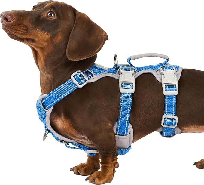 Escape Proof Dog Harness, Secure Dog Harness No Escape, Fully Reflective Harness with Handle,Breathable,Durable, Adjustable Vest for Small Dogs Walking, Training,and Running Gear (Sea Blue,S)