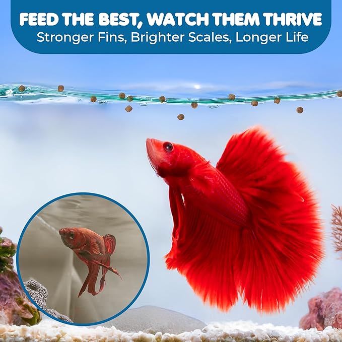 SunGrow Betta Food Pellets, 1 mm Color Enhancer Floating Feed, Balanced Diet for Happy Fish, Easily Digestible Food, Slow-Dissolving Pellets, Vegetable and Fish Formula Doesn’t Cloud Water