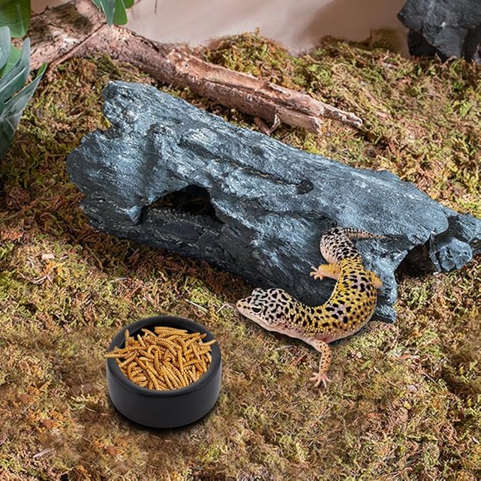 3 Pack Reptile Ceramic Feeding Bowl Food and Water Dish Anti Escape Bowl for Small Reptile Spider Lizard Gecko Frog Turtle Hermit Crab (Black)