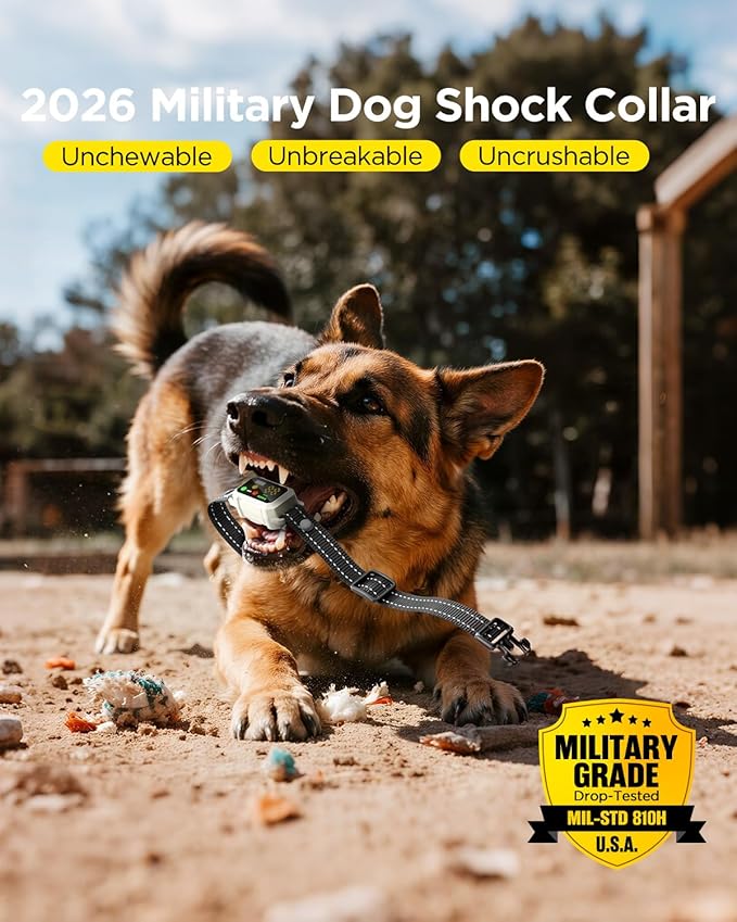 BLACKDOG Military Dog Shock Collar 2 Dogs (5-150lbs) - 4200ft Dog Training Collar with Remote, 4 Training Modes, Flashlight&Strobe, 90-Day Battery, IP67 Waterproof Dog E Collar for All Breeds (Beige)