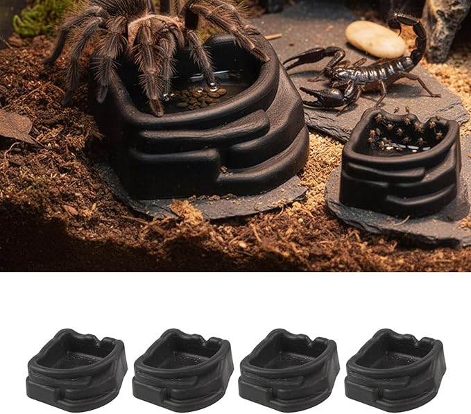 Transparent Arachnid Water Bowl 4pcs, Small for Reptiles Invertebrates, Shallow Bioactive Habitat Transparents Reptiles Container