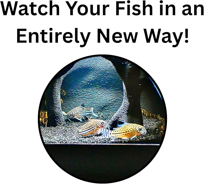 Aquarium Underground Cave Natural Mangrove Tree | Viewing Fish Under Gravel Tunnel Hide | Fish Tank Hideout Decor Decoration Enrichment for Corydora Catfish, Kuhli Loach, Clown Loach, Pleco, Betta
