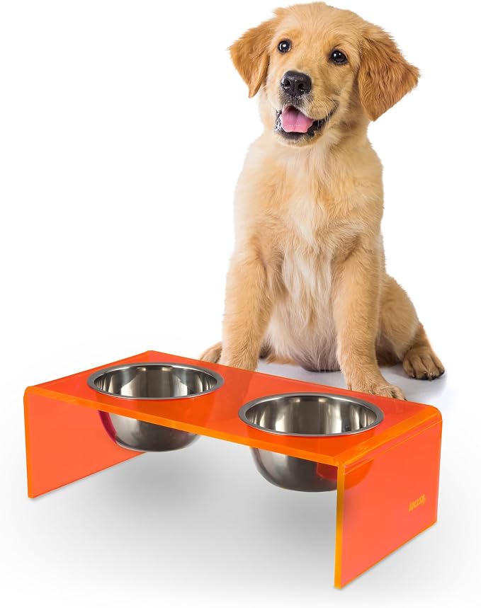 DBL2000E Keaton 5" Small/Medium Modern Acrylic Rectangular Elevated Pet Feeder with 20oz 2-Stainless Steel Bowls, Pink/Chrome