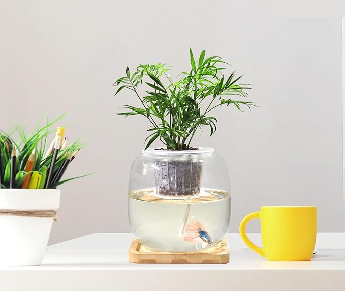 Betta Fish Bowl Glass Small Fish Tank with Bamboo Stand, Plant Propagation Station Hydroponic Terrarium with Lid beta Fish Aquariums 0.6 Gallon