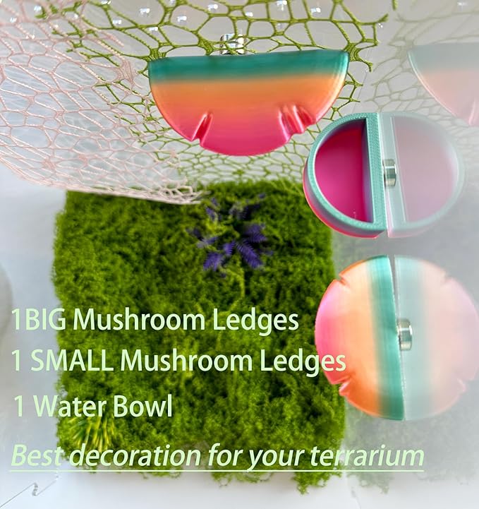 2 Pack Jumping Spider Accessories Mushroom Ledges & 1 Pack Water Bowl with Magnets for Spoods Jumping Spiders Magnetic Ledge Ladder Pet Spider Accessories (Not Included The Terrarium)