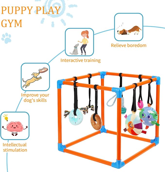 Liitrton Puppy Play Gym for Small Dogs with 8 Hanging Toys, Orange | 19.5"x19.5"x19.5" PVC Frame, Indoor Puppy Jungle Gym with Interactive Puppies Toys