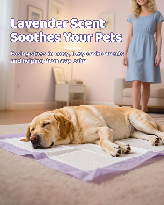 iweepet 36"x36" 4XL Lavender Scented Disposable Dog Pee Pads, 45 Count | Extra Large Puppy Training Pads with 6-Layer Super Absorbent Protection, Leakproof Puppy Pads for Large Dogs & Senior Pets