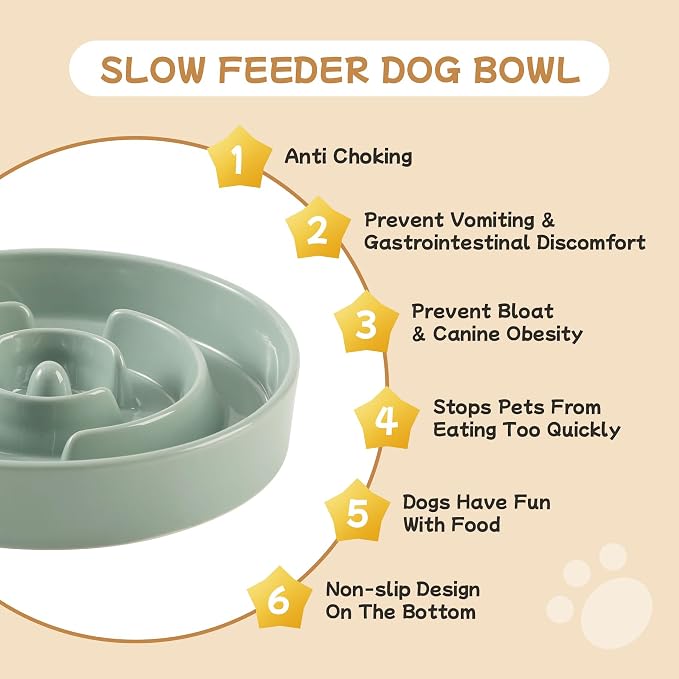 Havniva Elevated Slow Feeder Dog Bowls, Ceramic Dog Bowl Slow Feeder Set | 0.9 Cups Raised Slow Feeder Dog Bowl for Small Breed, 6.1” Dog Water Bowl with Wooden Stand, Puzzle Dog Food Bowl, Non-slip