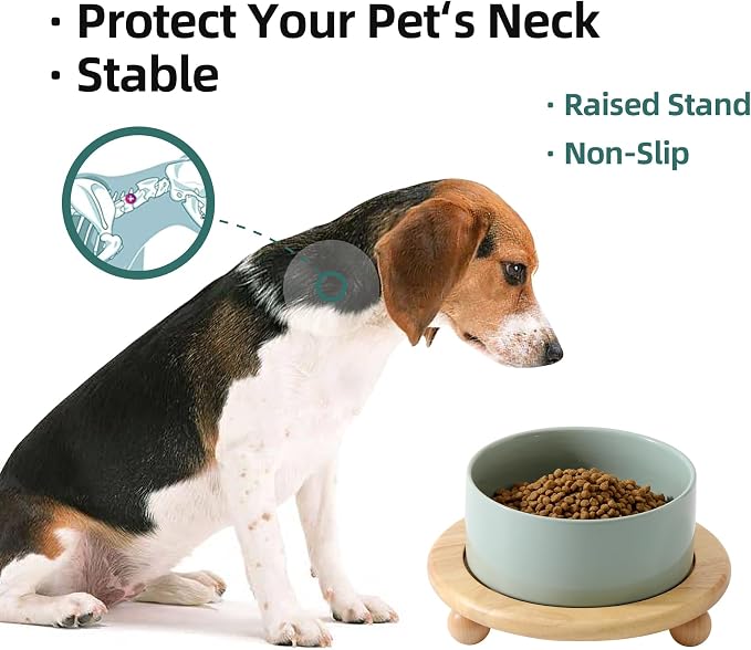 Havniva Raised Cat Bowl 6.1” Elevated Ceramic Cat Food and Water Bowl | Cat Bowls Elevated, Whisker Friendly Cat Bowl, Non-Slip Wood Stand, Food-Grade Ceramic, Wide Opening, Dishwasher Safe