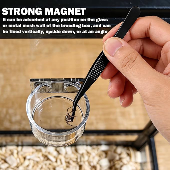 Jumping Spider Feeding Dish,Jumping Spider Food Dish,Decorative Magnetic Plastic Water Bowl and Tweezers, Jumping Spider Enclosure Accessories Magnetic Water Bowl Easy to Install