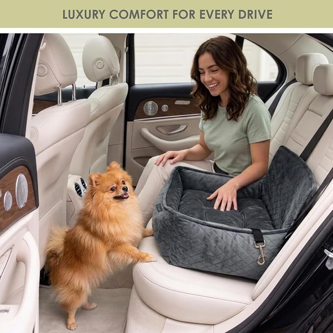 NANDOG Luxury Dog Car Seat Bed for Small Dogs, Micro Plush Pet Seat with Removable & Washable Cushion Insert, Thick Safety Seatbelt Straps, Secure Travel Carrier, Dark Grey, 20" L x 16" W