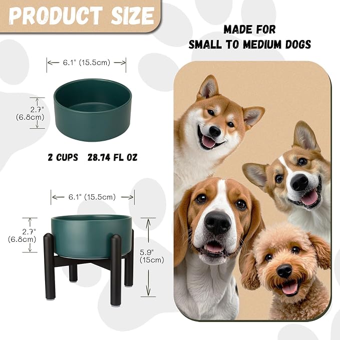 Raised Ceramic Dog Bowl Set with Stand, 2 Cups Elevated Dog Food Stand | 6.1'' Single Dog Food or Water Bowl Set, Non-Slip Dog Feeding Dishes for Small to Medium Breeds, 28.75 OZ, Green