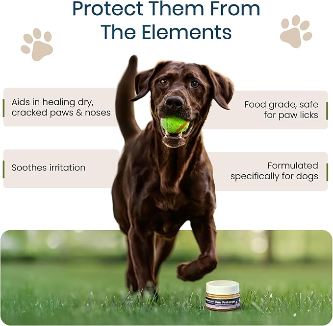 Paw Protector - Dog Paw Balm, Moisturizer & Soother for Dry, Cracked Pads and Noses with Shea Butter, Coconut Oil, Lick Safe, Beeswax-Free, Hot Pavement & Cold Weather Protection, 0.5 oz