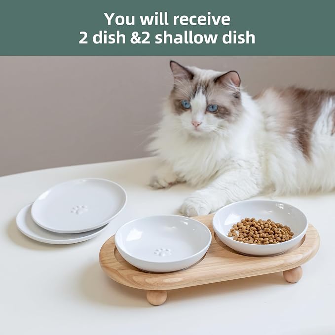 Havniva Elevated Cat Bowls, Cat Food and Water Bowl Set, Ceramic Cat Bowl | Raised Cat Food Bowls, Whisker Friendly, 5.6” Shallow Cat Dishes + 6” Wide Cat Plates, Non-Slip Wood Stand, Two Heights
