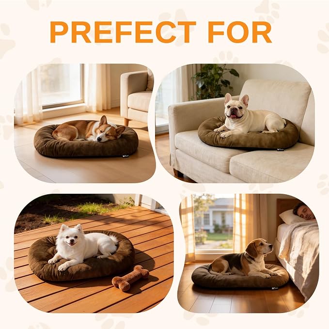 Washable Oval Dog Bed for Small Dogs,Silver-Tipped High-Resilience,Brown | Non-Slip Bottom Prevents Sliding,Soft Plush Short Fur,Machine Washable Cushion,Ideal for Crates & Small Spaces,23"x17"x2.8"