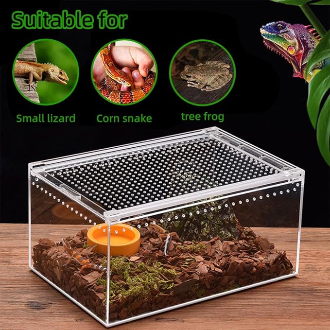 Small Acrylic Reptile Enclosure, No Assembly Small Reptile Breeding Box for Insect Tarantula Hermit Crab Jumping Spider (8x6X4 in)