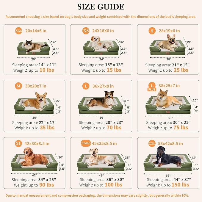 Comfort Expression Orthopedic Dog Bed for Medium Size Dog with Bolster | Waterproof Dog Couch Bed with Washable Cover & Non-Slip Bottom, Supportive Egg Crate Foam Medium Pet Bed, 30x20 Inch