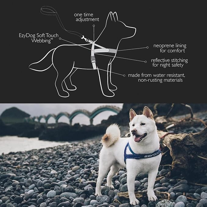 EzyDog Quick Fit Dog Harness, Soft Neoprene Padding - Medium, Purple | Fast One-Click Buckle, Adjustable Fit, Strong Reinforced Materials, Reflective Stitching, No Pull Dog Harness, Easy Walking