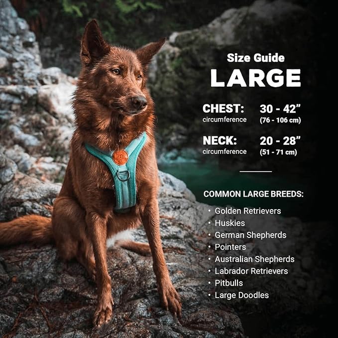 Wilderdog Lightweight Dog Harness with Reflective Straps - Large - Lilac