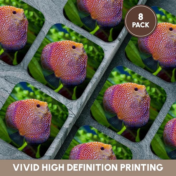 3dRose Super Pigeon Snakeskin Discus, Tropical Freshwater Fish. Set of 8 Coasters - Soft