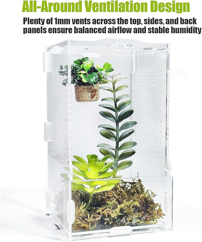 Jumping Spider Enclosure, Transparent Arboreal Tarantula Habitat, Praying Mantis Terrarium Critter Cage for Jumping Spider, Tarantula Slings, Mantis, Snail, Isopods, Beetles, Millipedes