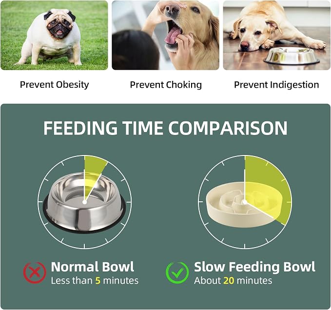 Havniva Elevated Slow Feeder Dog Bowls, Ceramic Dog Bowl Slow Feeder Set | 1.2 Cups Raised Slow Feeder Dog Bowl for Small Breed, 6.1” Dog Water Bowl with Wooden Stand, Puzzle Dog Food Bowl, Non-slip