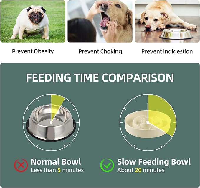 Havniva Elevated Slow Feeder Dog Bowls, Ceramic Dog Bowl Slow Feeder Set | 1.6 Cups Raised Slow Feeder Dog Bowl for Medium Breed, 7.3” Dog Water Bowl with Wooden Stand, Puzzle Dog Food Bowl, Non-slip
