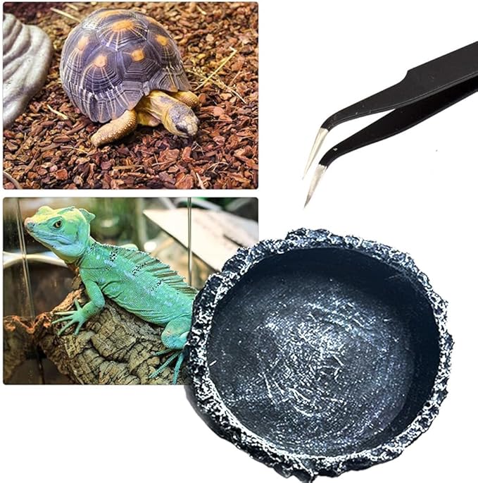 2PCS Reptile Feeder Food and Water Dish with Feeding Tweezers Tong Reptile Water Dish Food Bowl Set for Leopard Gecko Lizard Frog (Style 1)
