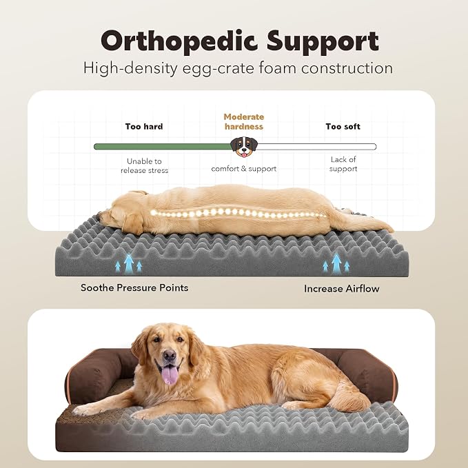 Orthopedic Washable Dog Bed with Bolster for Large Sized Dogs | Pillow Support for Neck Relief, Egg Crate Foam, Waterproof Liner, Anti-Slip Bottom, Machine Washable Cover, 38 x 25 Inch