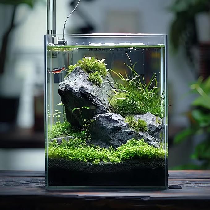 Vimvins 2 Gallon Glass Fish Tank, Easy to Maintain Small Aquarium for Betta/Snails/Shrimp and Aquatic Planting.
