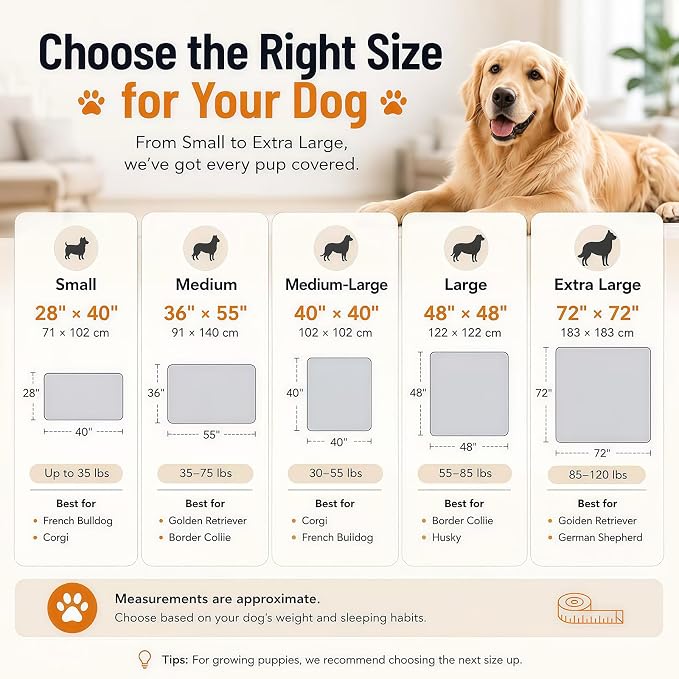 Washable & Reusable Pee Pads for Dogs, 2 Pack, 40 x 40 Inch | Super Absorbent, Waterproof TPU, Machine Washable & Reusable, Non-Slip Bottom, Floor Protection