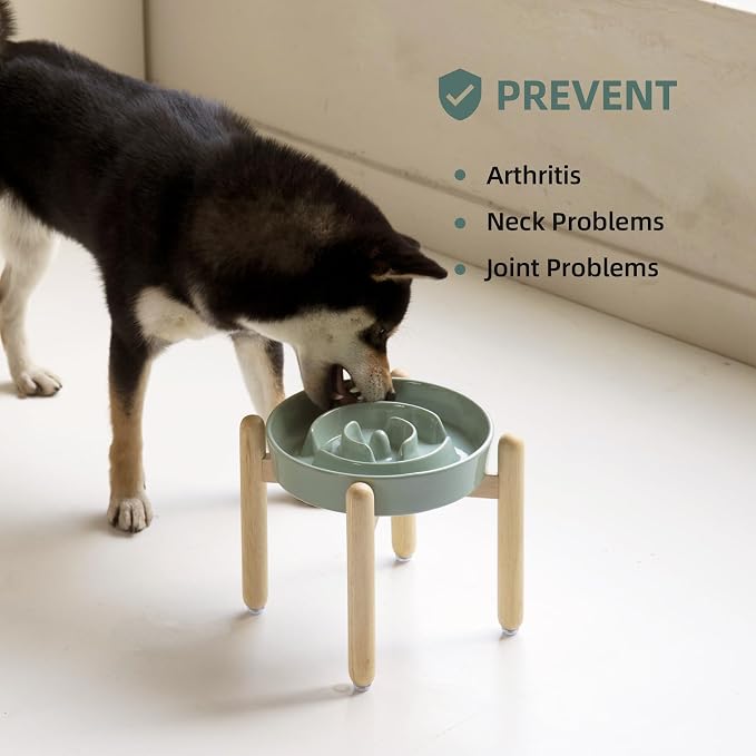 Havniva Elevated Slow Feeder Dog Bowls, Ceramic Dog Bowl Slow Feeder | 1.6 Cups Raised Slow Feeding Bowl for Medium Breed, Puzzle Dog Food Bowl with Wooden Stand, Non-Slip, Anti-Choking