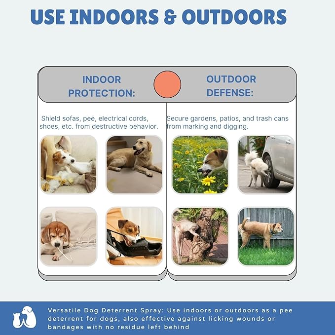 No Chew Spray for Dogs,Bitter Apple Spray for Dogs to Stop Chewing,Can Effectively Protect The Safety of Furniture,Plant,Shoes, Etc,Safe for People and Pets,Alcohol-Free, Indoor/Outdoor Use,100ML