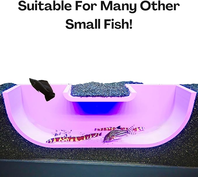 Betta Underground Tunnel Hideout Cave | Aquarium Hide for Small Fish and Shrimp | Viewing Betta Fish Rest Hammock Enrichment Toy | Betta Fish Tank Accessories Decorations Toys Decor (Purple)