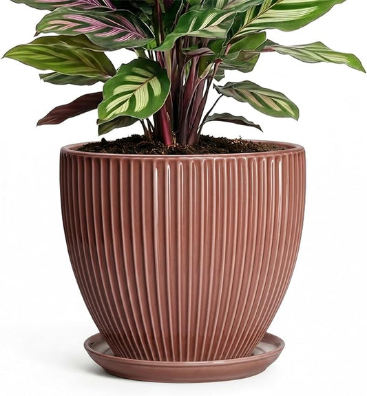Ceramic Pots for Plants 6 Inch, Ceramic Plant Pots Indoor with Drainage Hole and Saucer, Modern Flower Pot, Round Decorative Planter, Living Room Home Decor, House Warming Gifts, Rust Red