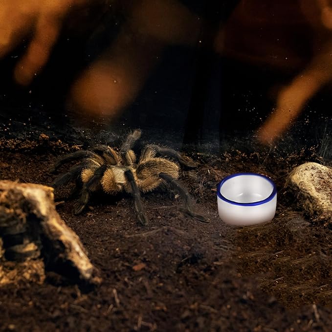12pcs Small Ceramic Water Feeder Bowls and Spiders Mini Reptile Tank Water Containers Terrarium Basins for Small Pets