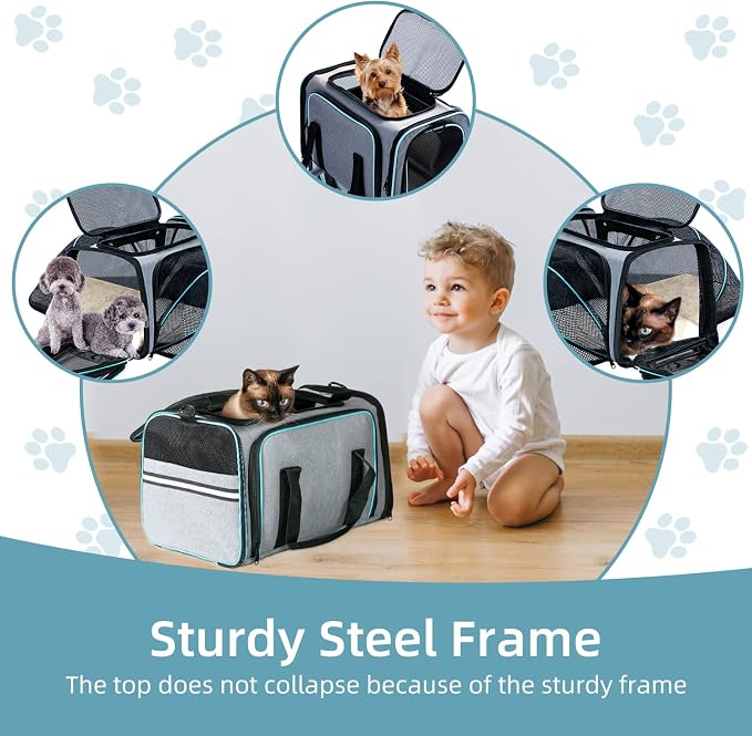 Cat Dog Airline Approved Expandable Pet Carrier for Small Pets | Removable Pad, Pockets, TSA Compliant, Soft-Sided, Breathable Mesh Window