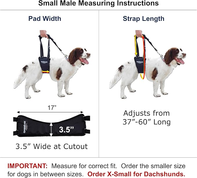Dog Support Sling Rear Leg Harness, SM Male, Machine Wash & Dry | Fits Small to Medium Size Pets or Larger Barrel-Chested Breeds like Boxers, Bullies. Male Dachshunds use XS Size. Made in USA