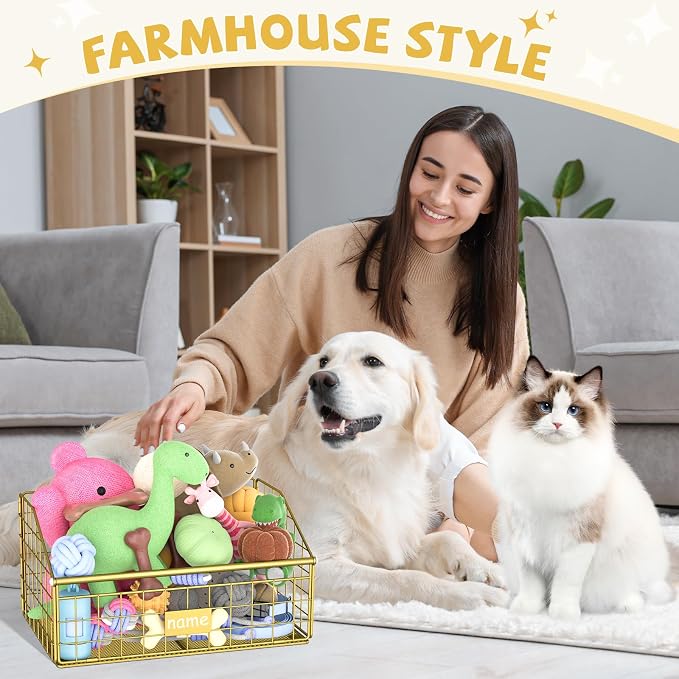Kaiferty Indestructible Dog Toy basket, Small Toy Box for Dogs, Pet Toy Bin Dog Metal Basket for Toys, Toy Storage Organizer, Cat Toy Box for Living Room Area(Gold)