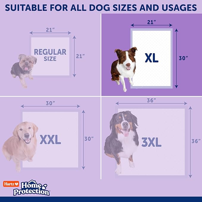 Hartz Home Protection Super Absorbent Odor Eliminating Lavender Scented No Leak Dog Pads, XL 30 Count (Pack of 2)