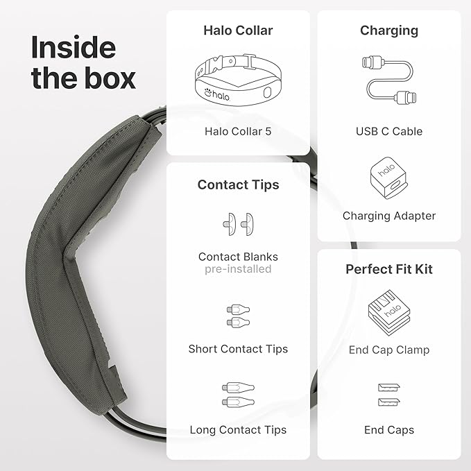 Halo Collar 5 Wireless Dog Fence & GPS Dog Collar, Keep Your Dog Safely Contained Outdoors with App-Controlled Boundaries and Real-Time Tracking, One Size, Graphite