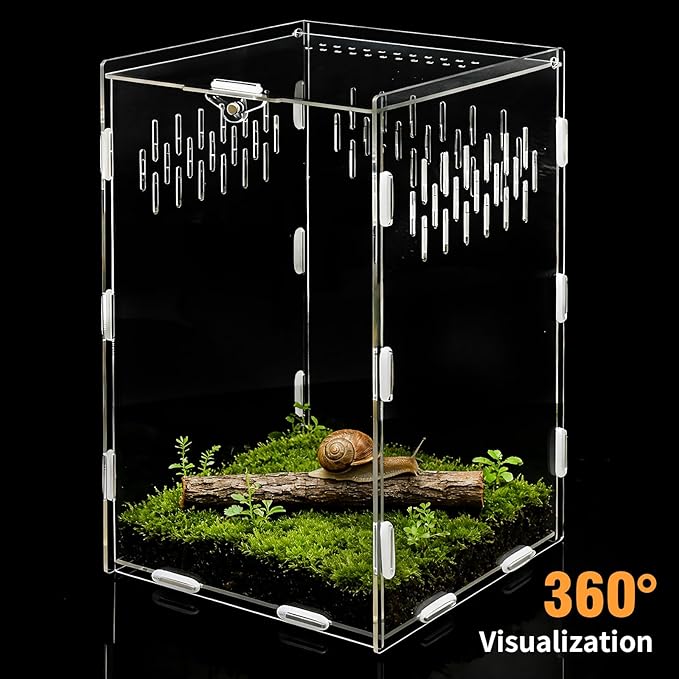 Jumping Spider Enclosure, 10x6x6 Inch Acrylic Reptile Enclosure with Front Door, Large Insect Terrarium Habitat for Jumping Spiders, Praying Mantis, Arboreal Tarantulas
