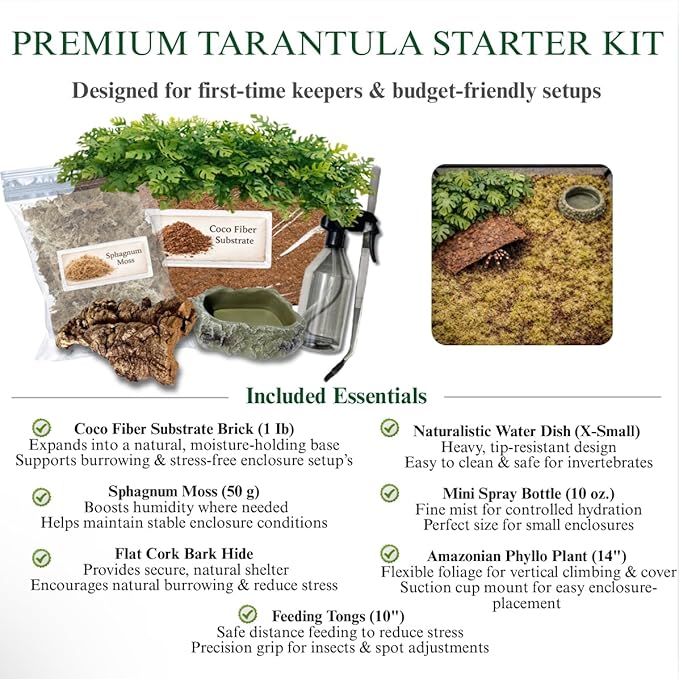 Tarantula Rehousing Supply Kit - Beginner Tarantula Setup Supplies - Substrate, Moss, Plant & Water Dish - Spider Habitat Terrarium Kit