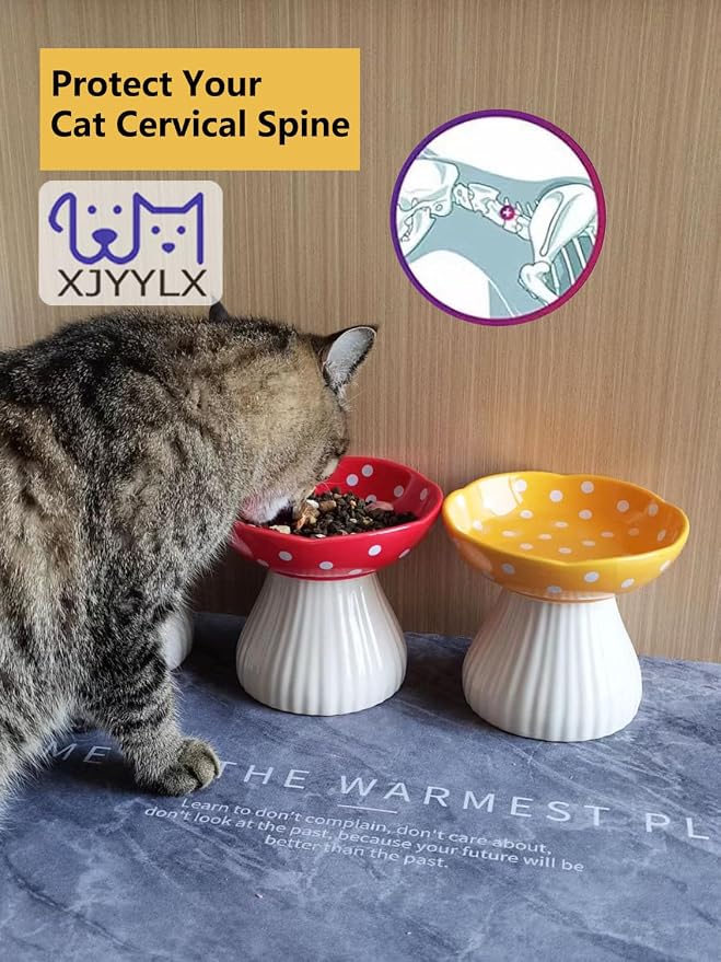Mushroom Elevated Cat Bowls Ceramic, Cute Cat Bowls Whisker Fatigue | Raised Cat Bowl for Indoor Cats, Raised Dog Bowls Stand for Food and Water, Red 6" Wide for Adult Cats