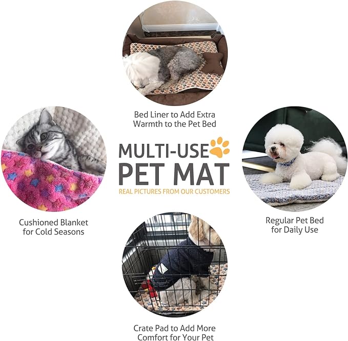 Mora Pets Cat Bed Ultra Soft Dog Crate Pad Star Print 14 x 17.5 inch Brown | Washable Crate Mat for Small Dogs and Indoor Cats, Reversible Fleece Dog Kennel Pad, Flat Pet Bed, Cat Carrier Mat