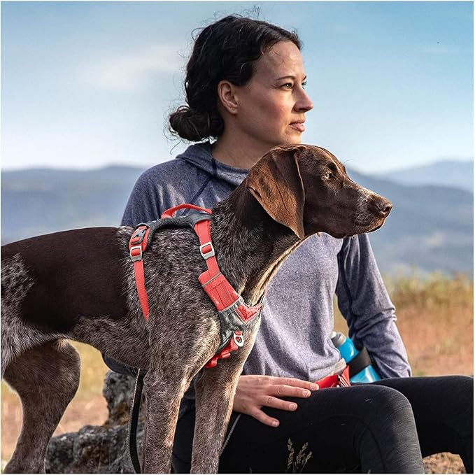 Kurgo Journey Air Dog Harness, Coral, Extra Large | Padded Chest, Ripstop Outer & Breathable Mesh, Back Assist Handle, Rust-Free Aluminum Hardware, Reflective Trim